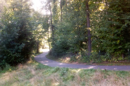 Turn left onto the asphalt path at the end of the dam.