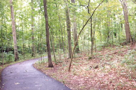 The path curves through the woods with the creek on the left.