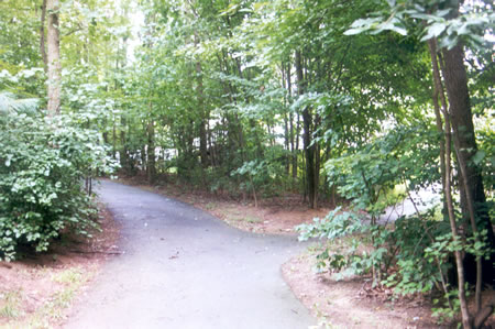 The trail curves to the left and heads up the hill.  Do not take the narrow trail to the right.