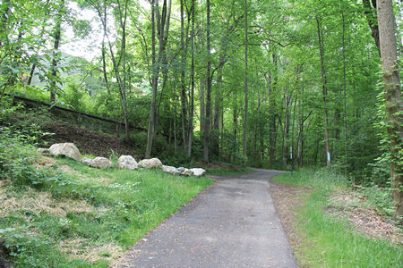 Notice the large rocks on the left. Take a sharp left to follow that trail on the far side of the rocks. 