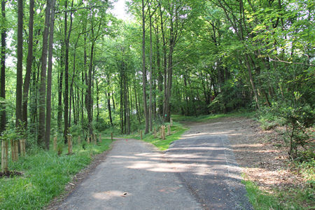 Keep left on the asphalt trail at the next trail intersection.