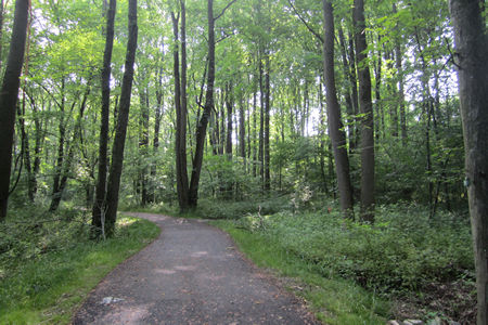 The trail passes a small trail on the right.