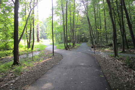 2 gravel trails intersect from the right. Stay on the asphalt trail as it turns to the left.