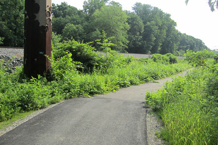 Most of the trail from this point on has been here for years. The only changes to this section were made near Burke Road.