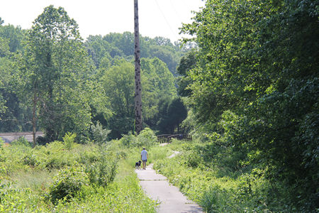 This is a view of the trail as it follows the railroad.