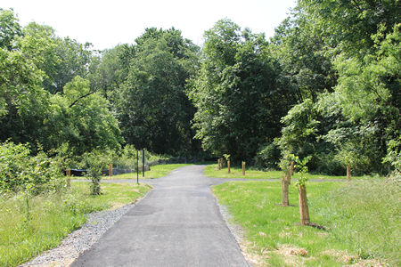 The trail comes to a crossing. Take the trail to the left.