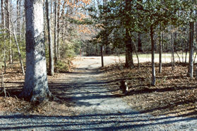 Take the path adjacent to the southern end of the playground equipment away from the parking lot.