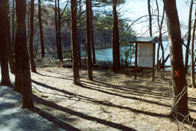 The trail passes the wilderness camping area.