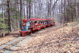 The miniature train follows the trail part of the ways.