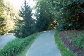 Take the wide asphalt path directly across North Village Rd from the picnic area and walk north.
