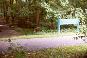 Turn left onto the dirt path to the left of the large sign.  The bench shown here will confirm you are on the proper trail.