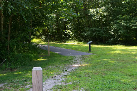 The trail follows a wide opening between the trees.