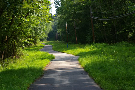 An asphalt trail intersects from the right. Continue straight on the present trail.