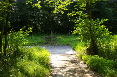 The trail turns left and follows a telephone cable.