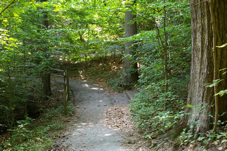A trail on steps intersects from the right. Keep to the left on the present trail.