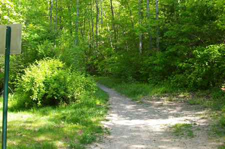 After crossing the creek take the trail to the left. The trail to the right is a side trail.