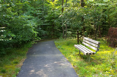 The trail passes a bench and a CCT sign. However, this is not the CCT.