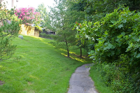 The trail goes down a short hill behind the houses on the left.