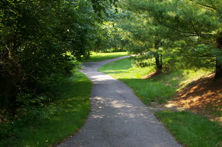 The trail descends a short hill.