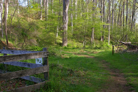 After passing the fenced area the trail heads into the woods.