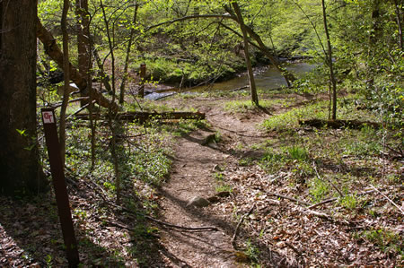 The trail leads down to multiple trails next to the creek.