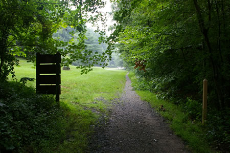 The trail enters a grassy area.