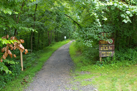 The trail enters another section of woods.