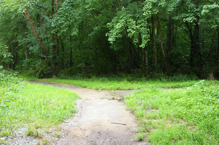 An asphalt trail intersects from the right. Stay on the present trail as it curves to the left.