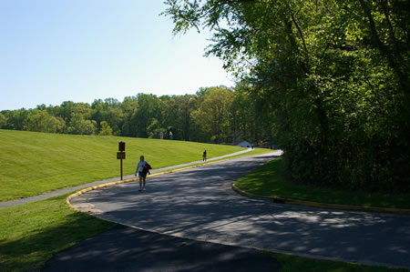 The trail follows the service road on the right and the lake on the left.