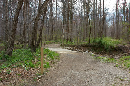 The trail crosses a bridge. Turn right at the intersecting trail.