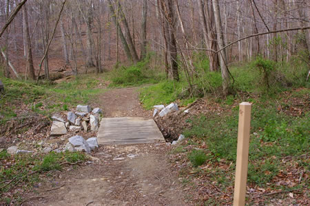 The trail joins an intersecting trail at a bridge. Turn left to cross the bridge.