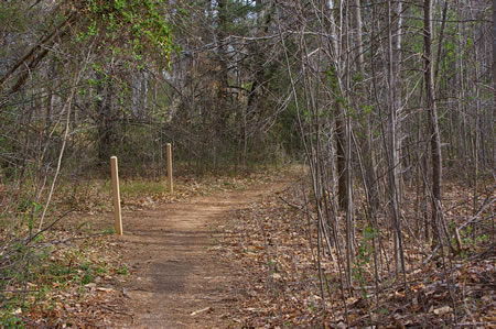 A trail intersects from the left at the top of the hill. Continue straight on the present trail.