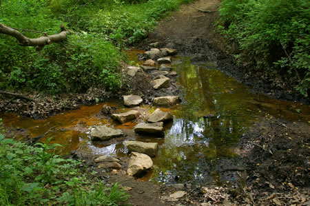 The trail crosses a side stream.