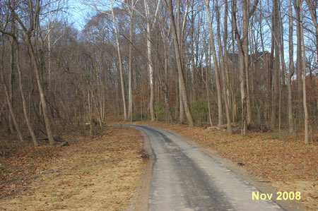 The trail enters the woods as it leaves the baseball field.