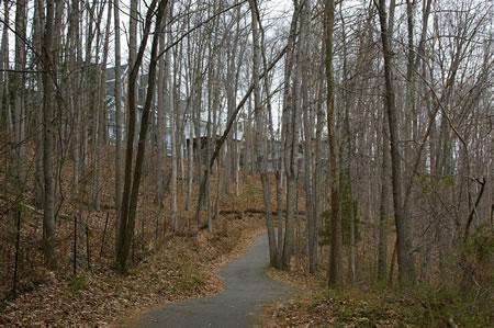 The homes on the left have a good view of the trail.