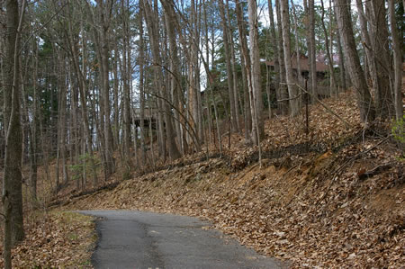 The homes to the right have a good view of the trail.