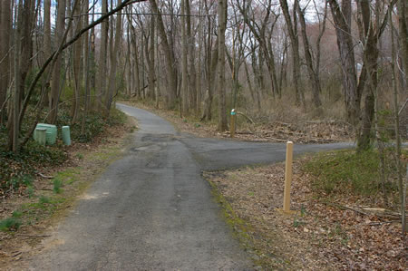 The trail turns right at the first intersecting asphalt trail.