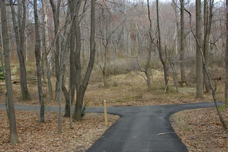 Turn left onto the intersecting asphalt trail at the bottom of the hill.