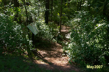 The trail enters the woods next to the display.