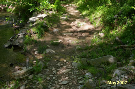 The trail crosses a few small wet spots.