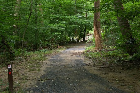 The trail only covers a short distance before making a creek crossing.