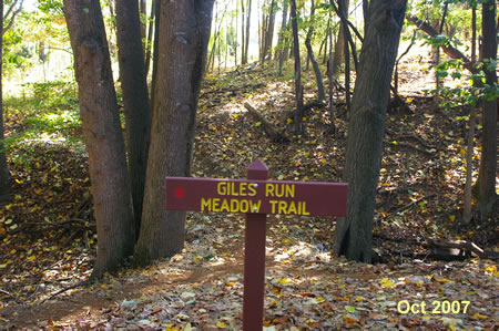 The trail passes a connection to the Giles Run Meadow Trail.