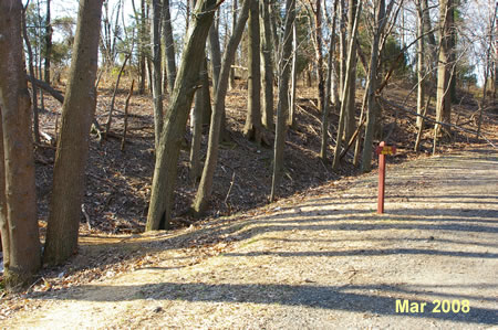 The trail passes a connection to the Giles Run Meadow Trail on the left.