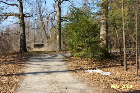 The trail turns to the right for a short distance.