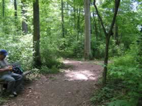 After passing a bench on the left a trail intersects from the right.  Continue to the left at this trail intersection.