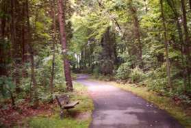 The trail continues up a hill through the woods.  A bench will be seen on the left almost immediately.
