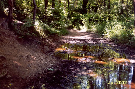 Climbing the bank on the left will get you around this mud puddle.