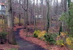 Take the wide asphalt trail between the houses and proceed down the hill.