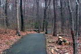 Turn right onto the wide asphalt trail in back of the tennis courts.  You have just left Deepwood.