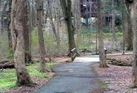 The trail crosses Snakeden Branch.